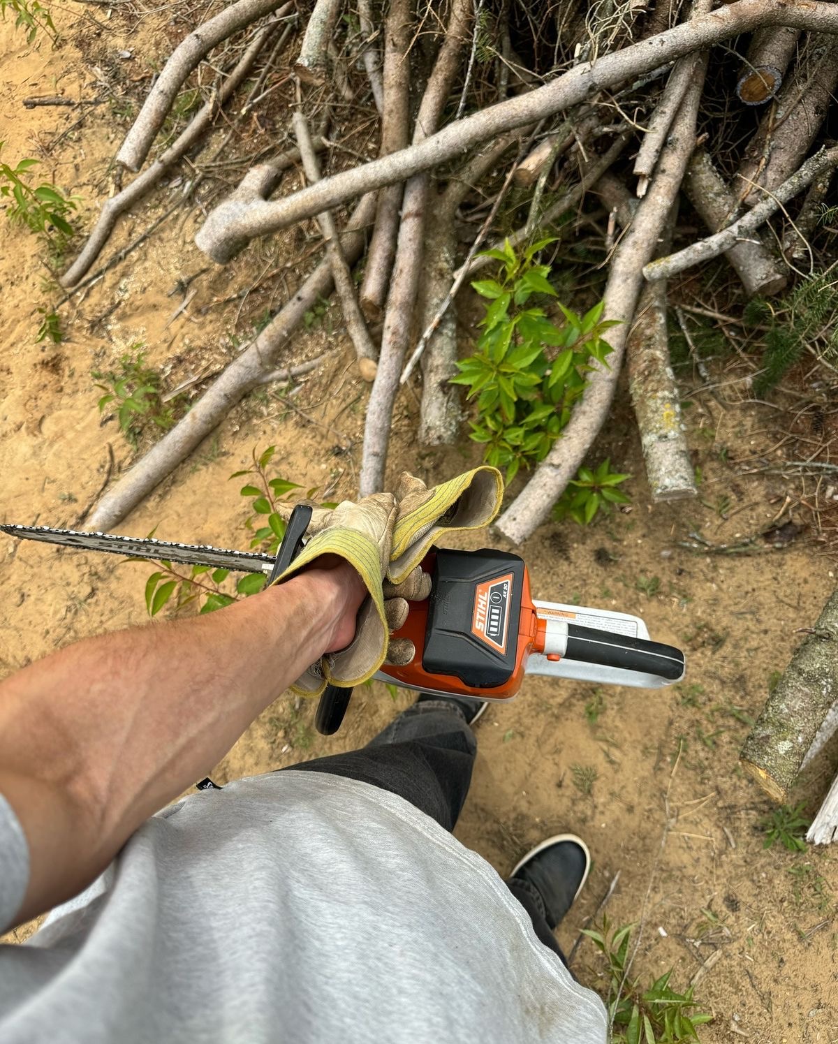 Travail d'élagage au sol